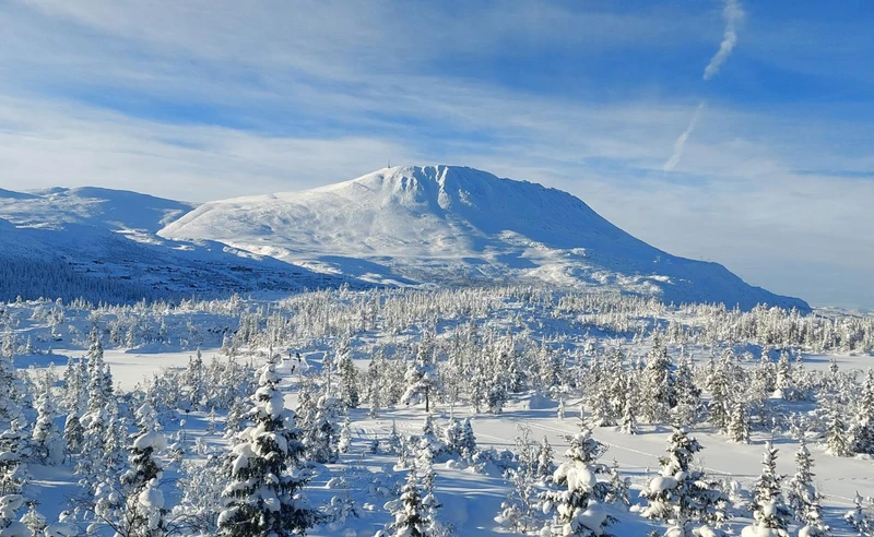 View of Gaustatoppen in Gausta Norway Andy Anderson February 2026