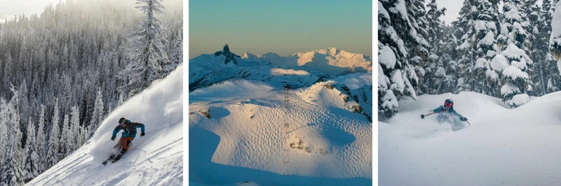 Whistler Peaks Ski Safari Trio