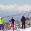 Shiga Kogen - Yakebitai Area