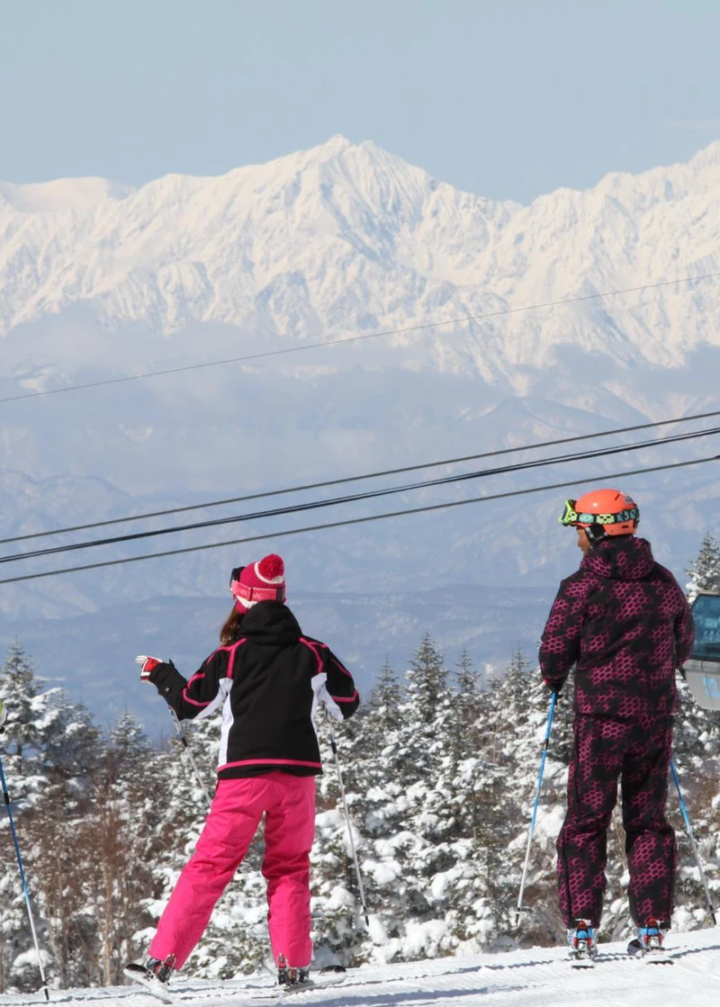 Shiga Kogen - Yakebitai Area