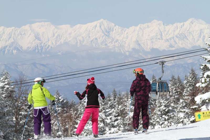 Shiga Kogen - Yakebitai Area