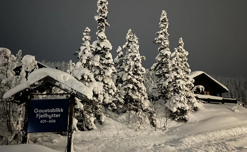 Cabin by moonlight crop