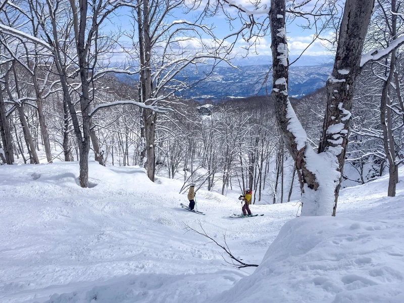 Andy Evans and Richard tree skiing Japan