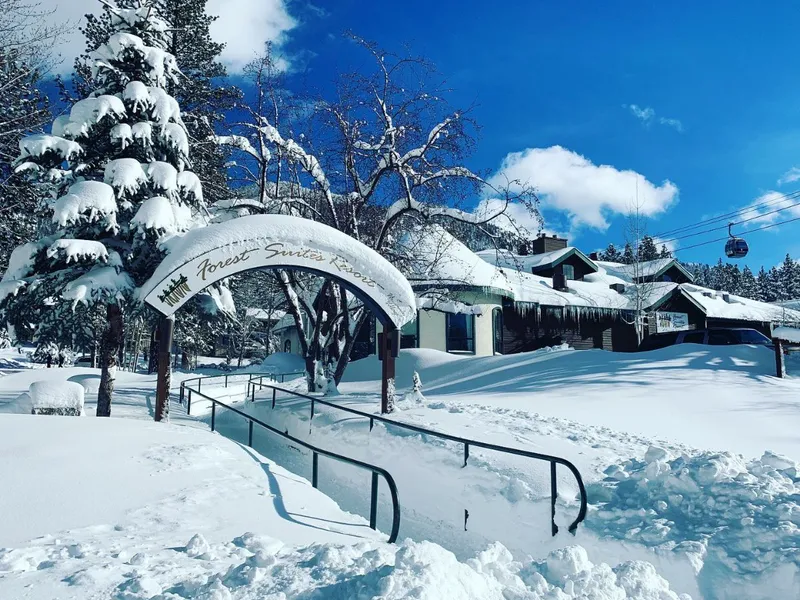 Forest Suites Resort - Winter Back Entrance