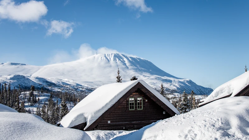 Lake View Cabins in Gausta