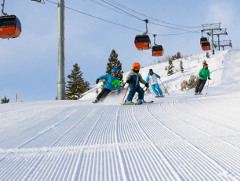 457656baa7f805a02b396cbd54781453 306x230 100 1602598638 thumbnail adb115059e28d960fa8badfac5516667